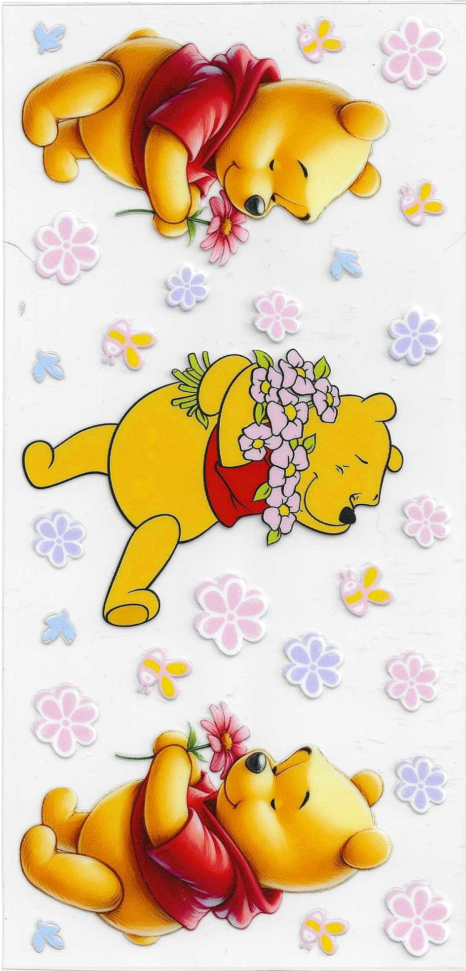 16oz wrap cute bear